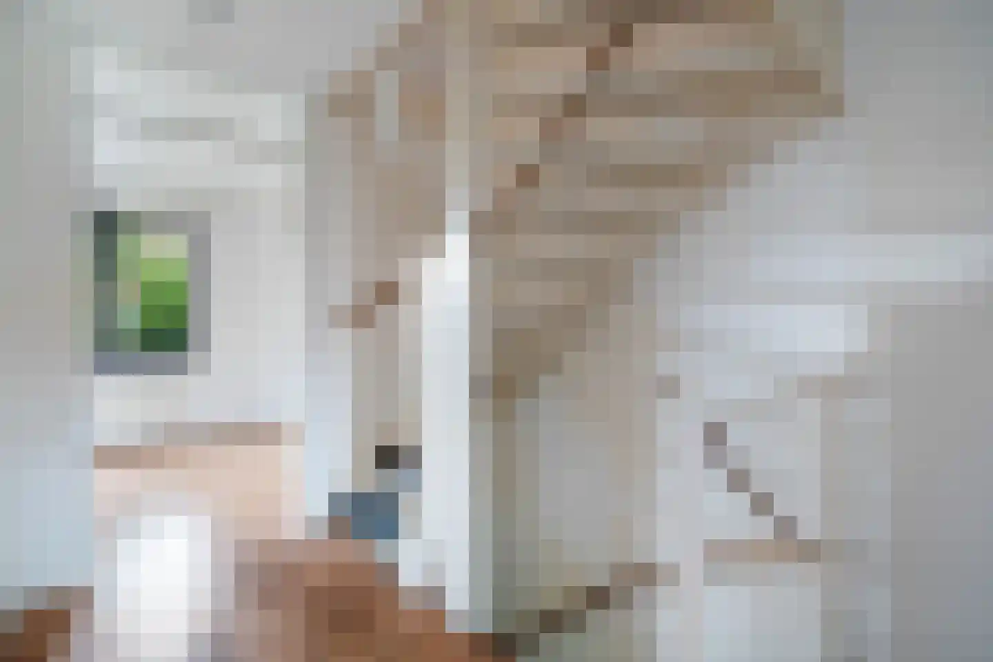Wrightlaan 26 Den Haag thumbnail 22