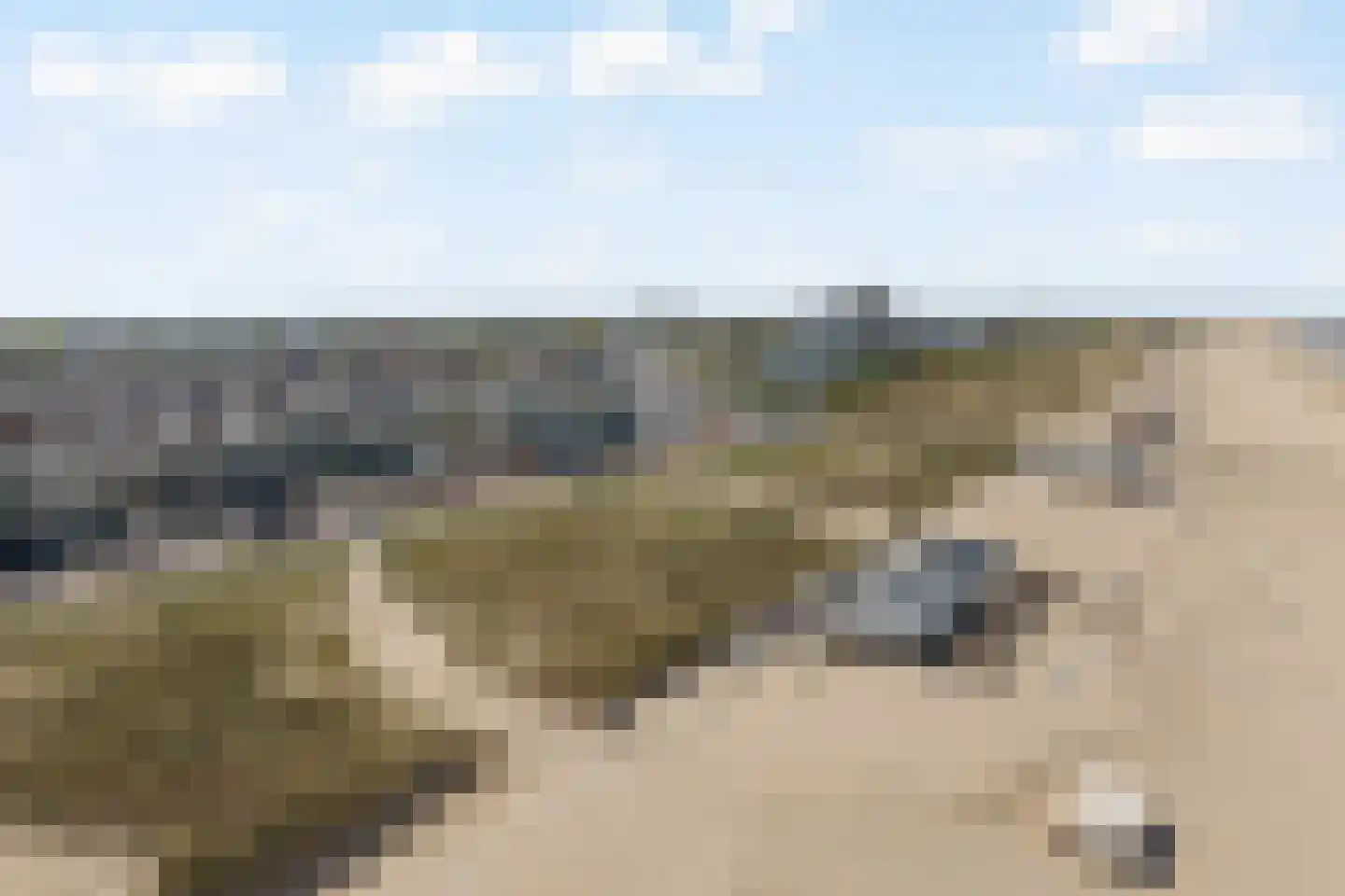 Writsaert 102 Noordwijk thumbnail 19