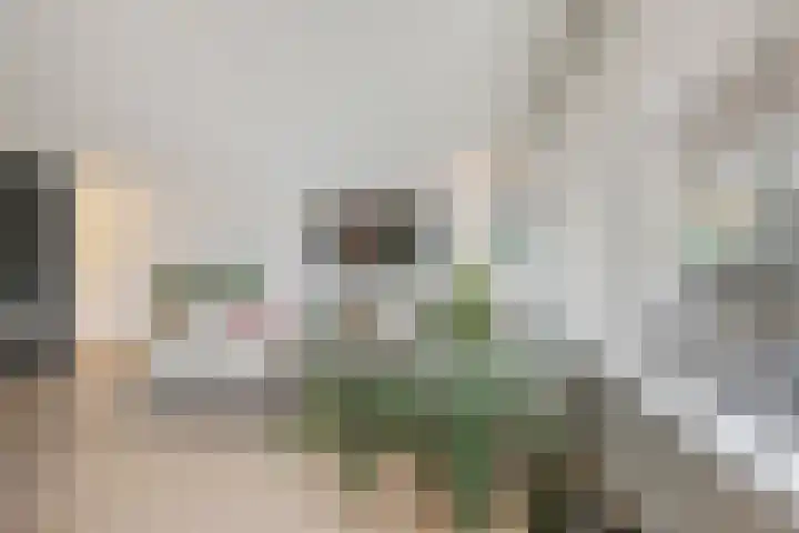 Writsaert 121 Noordwijk thumbnail 11