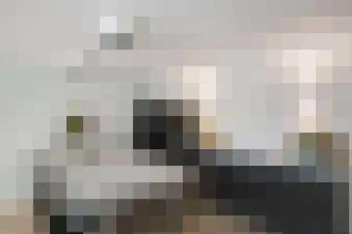 Writsaert 121 Noordwijk thumbnail 13