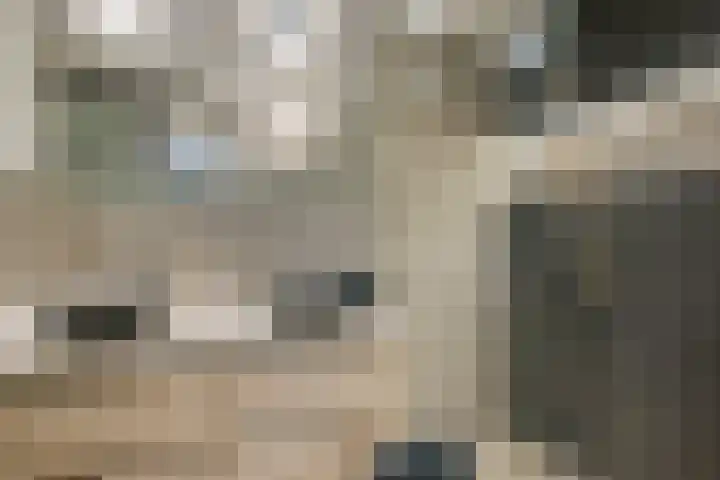 Writsaert 121 Noordwijk thumbnail 24