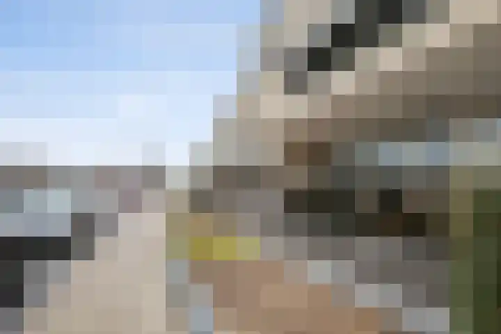 Writsaert 121 Noordwijk thumbnail 27