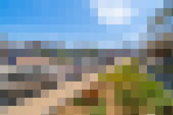 Writsaert 121 Noordwijk thumbnail 29
