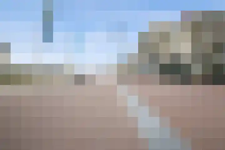 Writsaert 121 Noordwijk thumbnail 39