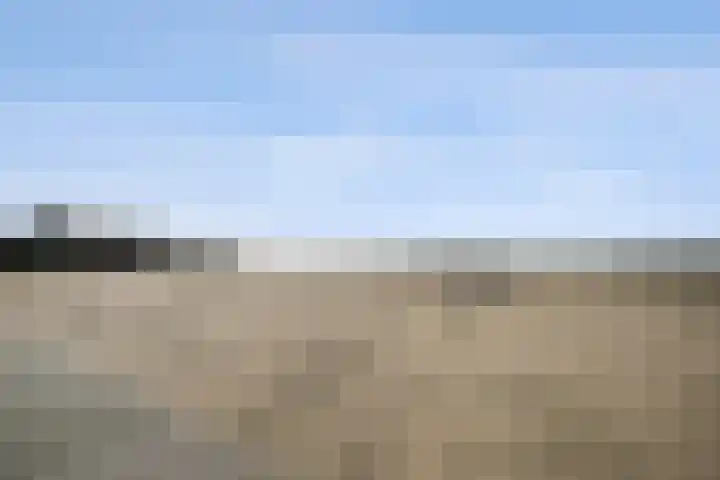 Writsaert 121 Noordwijk thumbnail 41