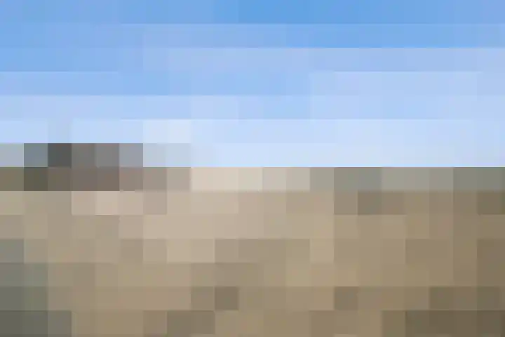 Writsaert 121 Noordwijk thumbnail 43