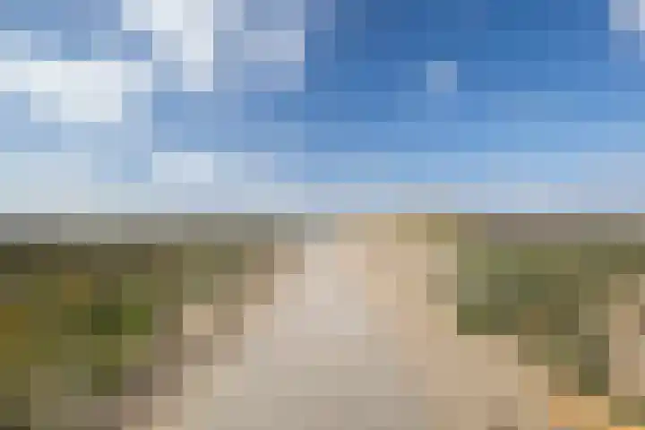 Writsaert 121 Noordwijk thumbnail 44