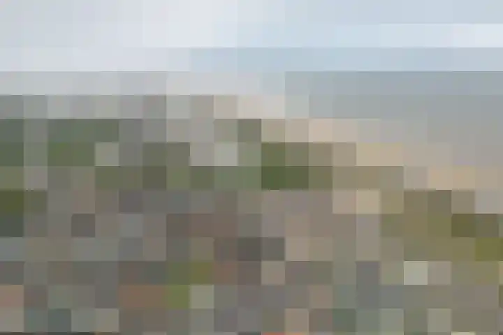 Writsaert 121 Noordwijk thumbnail 57