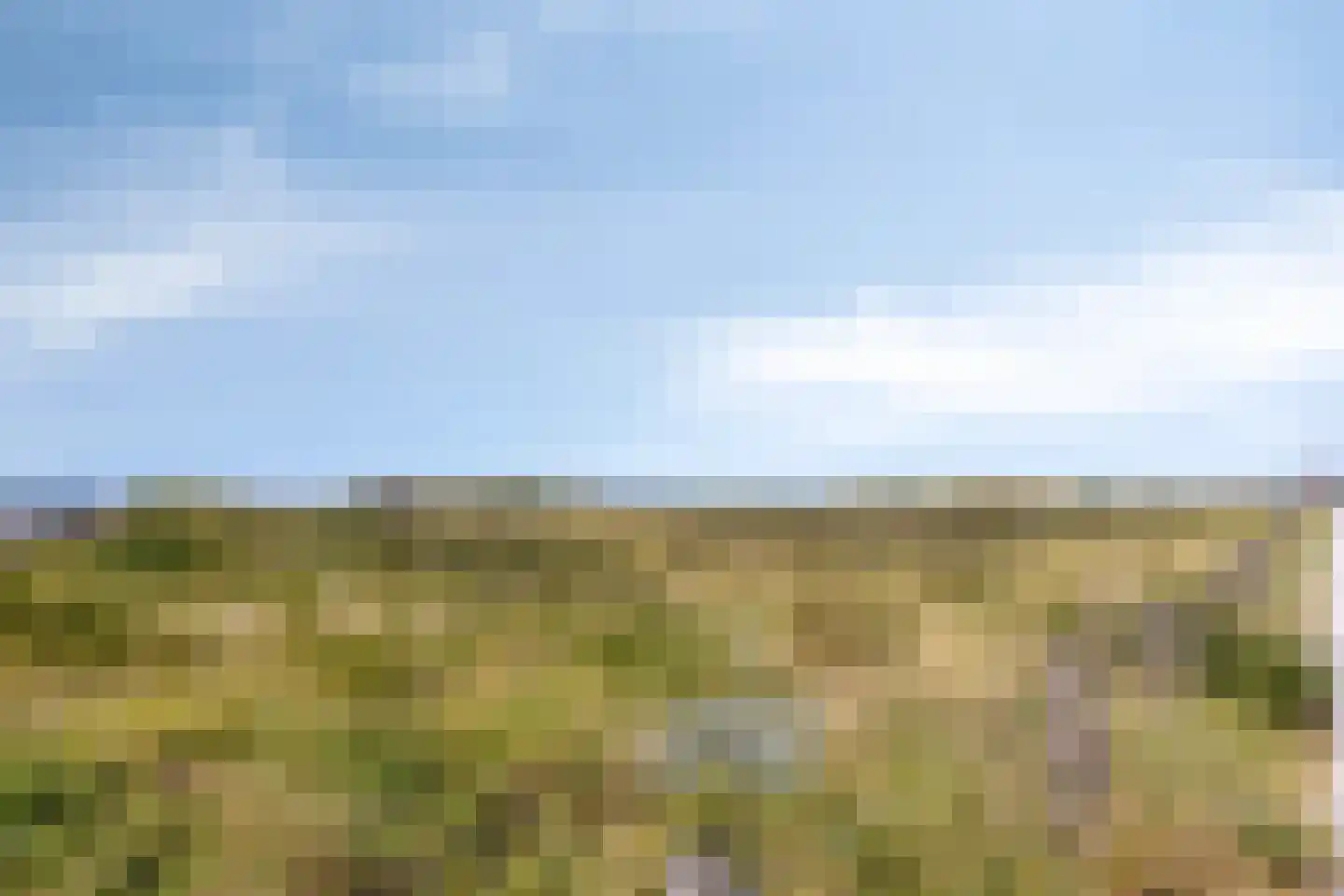 Writsaert 123 Noordwijk thumbnail 25