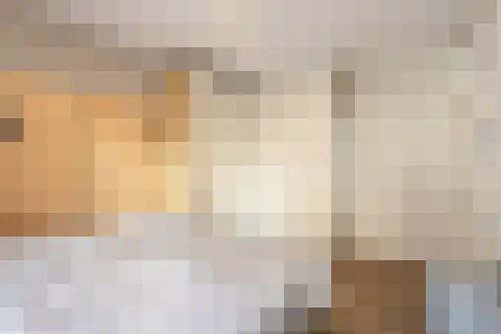 Writsaert 124 Noordwijk thumbnail 17