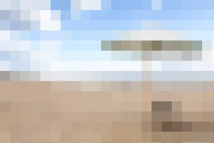 Writsaert 124 Noordwijk thumbnail 29