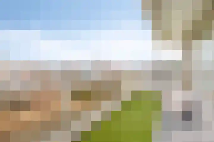 Writsaert 143 Noordwijk thumbnail 24