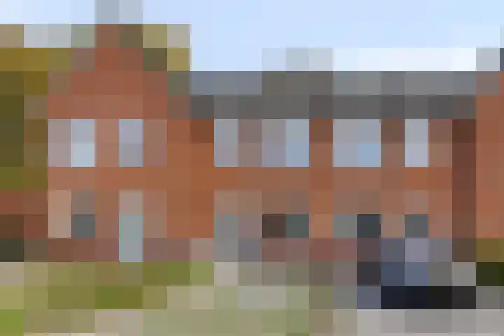 Wrongel 11 dans Oosterwolde