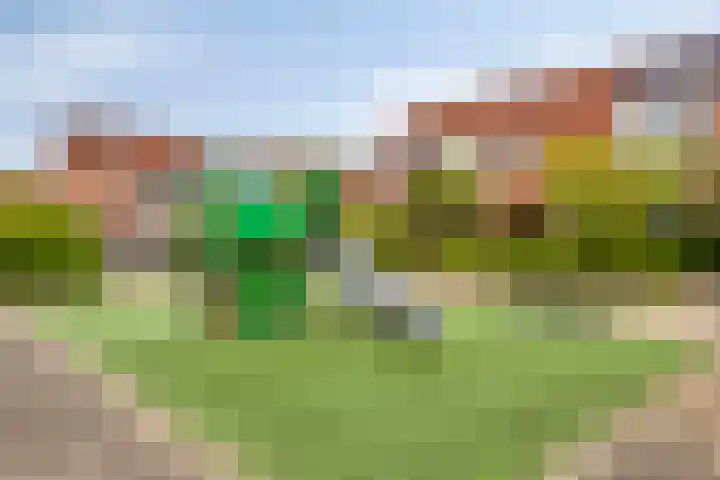 Wrongelstraat 38 Purmerend thumbnail 38