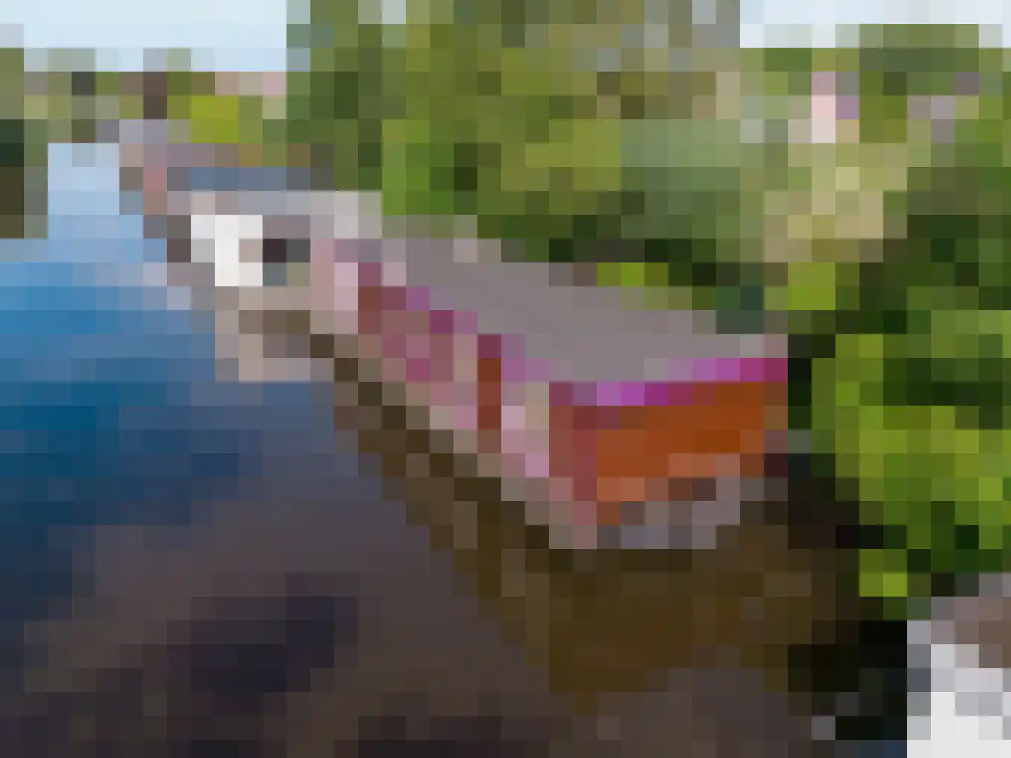 WS Boterdiep Oz 6 Zuidwolde thumbnail 18