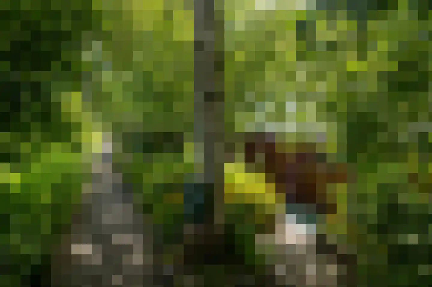 WS Boterdiep Oz 6 Zuidwolde thumbnail 19