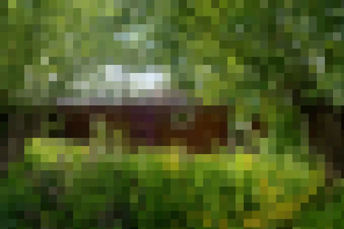 WS Boterdiep Oz 6 Zuidwolde thumbnail 20