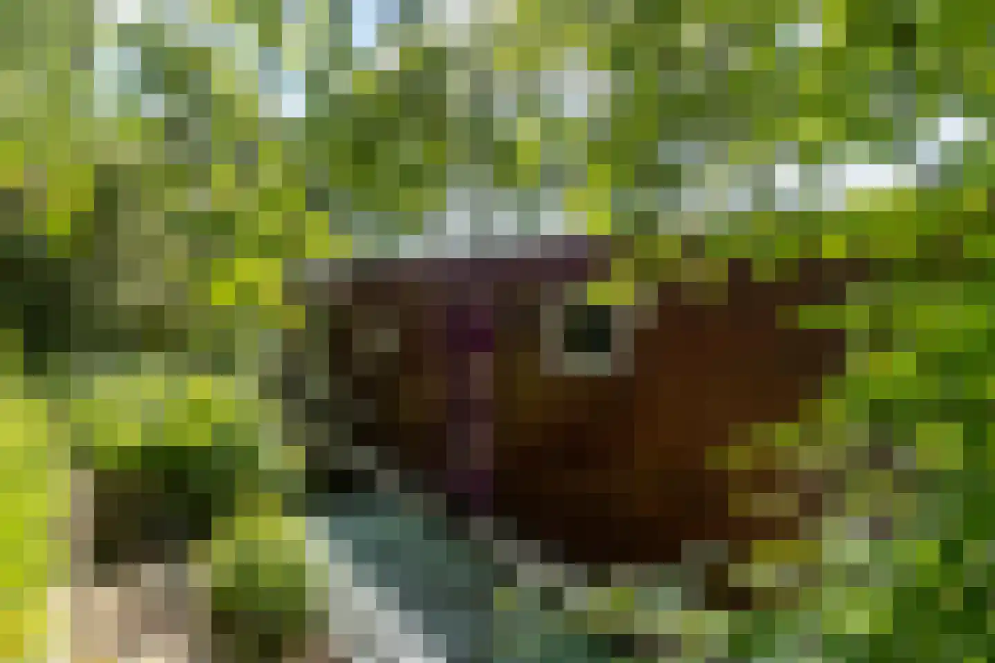 WS Boterdiep Oz 6 Zuidwolde thumbnail 21