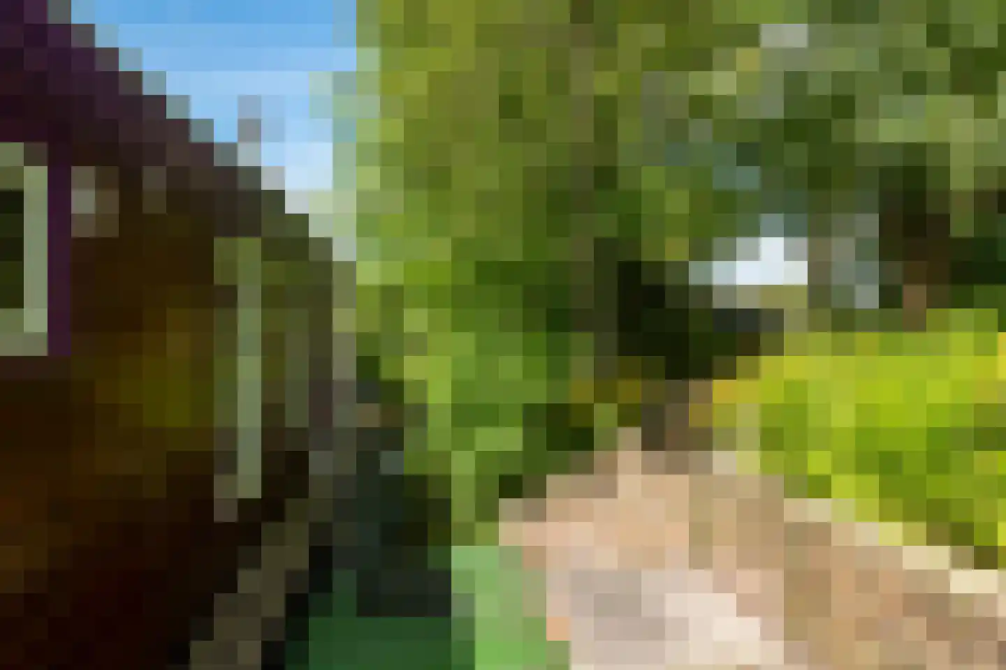 WS Boterdiep Oz 6 Zuidwolde thumbnail 22