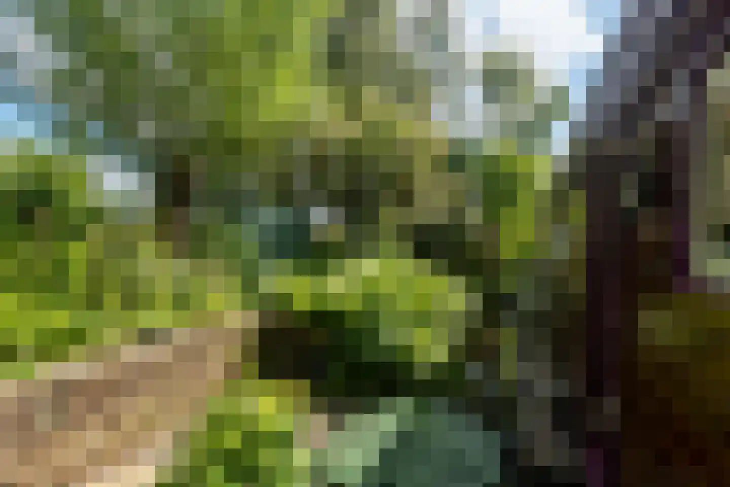 WS Boterdiep Oz 6 Zuidwolde thumbnail 23
