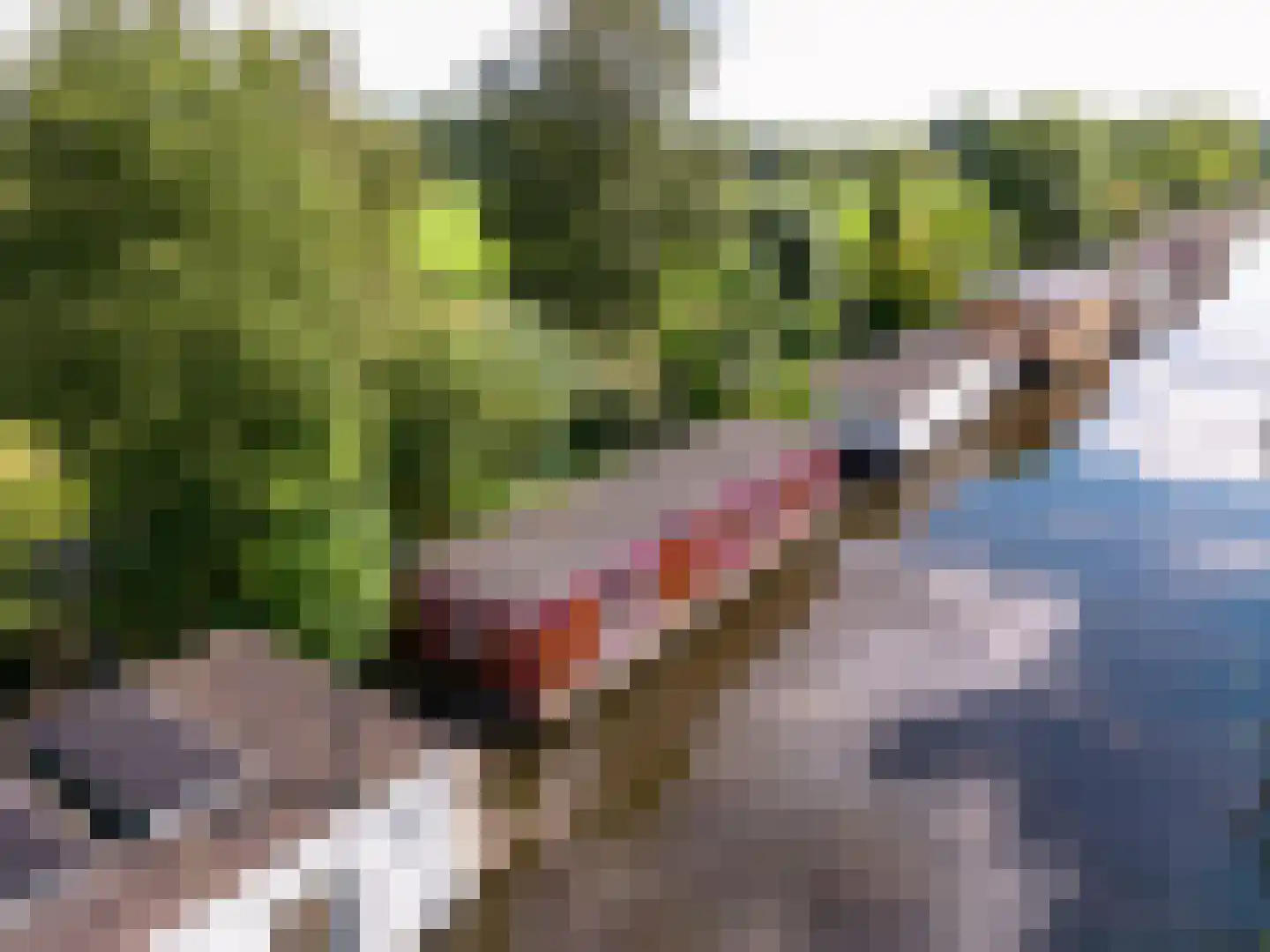WS Boterdiep Oz 6 Zuidwolde thumbnail 25