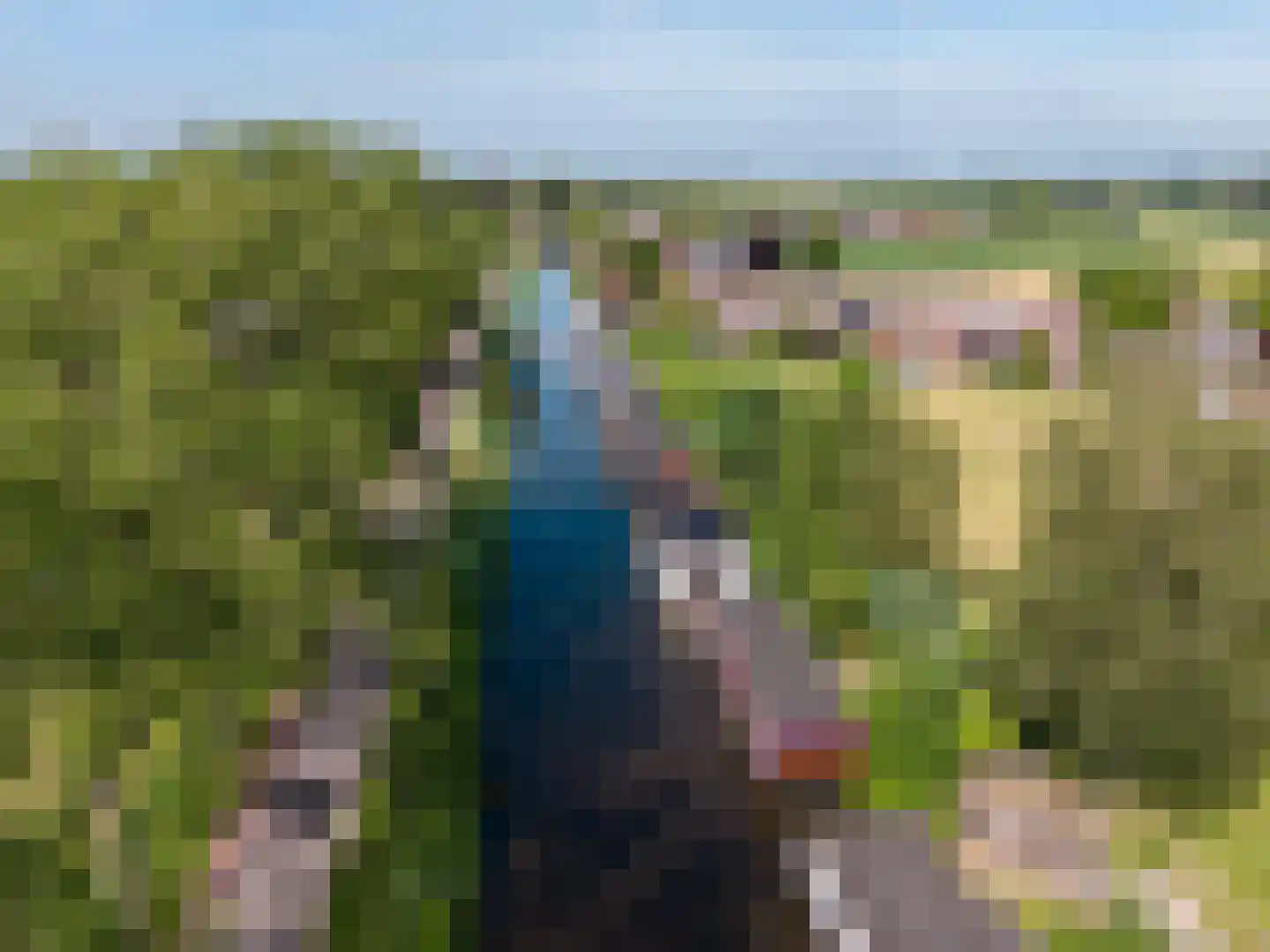 WS Boterdiep Oz 6 Zuidwolde thumbnail 26