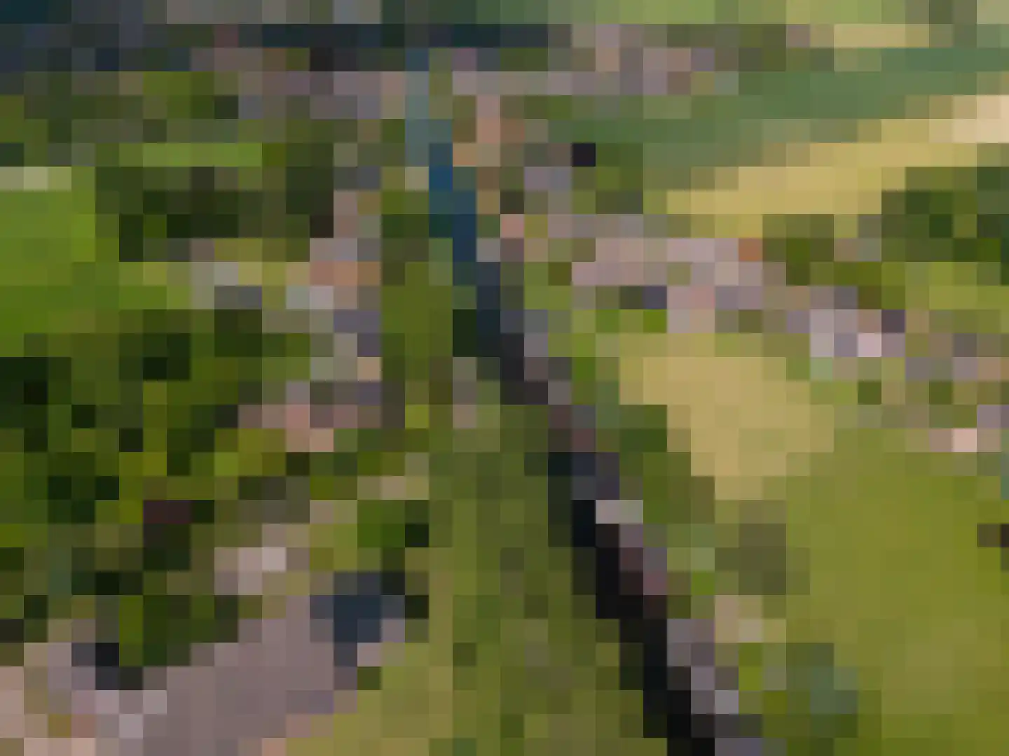 WS Boterdiep Oz 6 Zuidwolde thumbnail 27