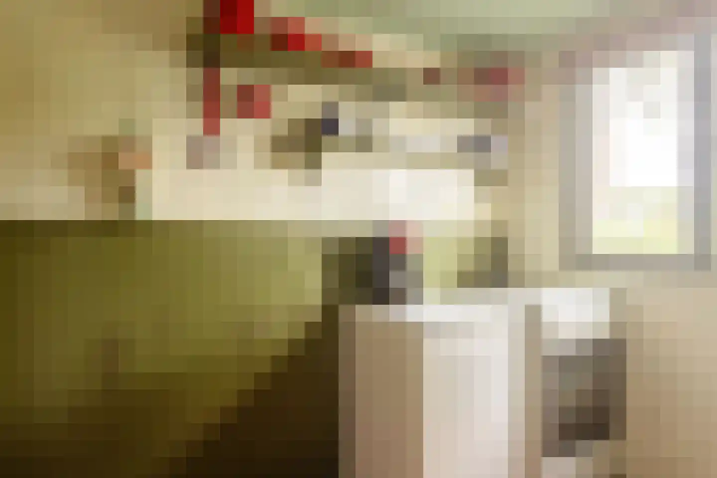 WS Boterdiep Oz 6 Zuidwolde thumbnail 5
