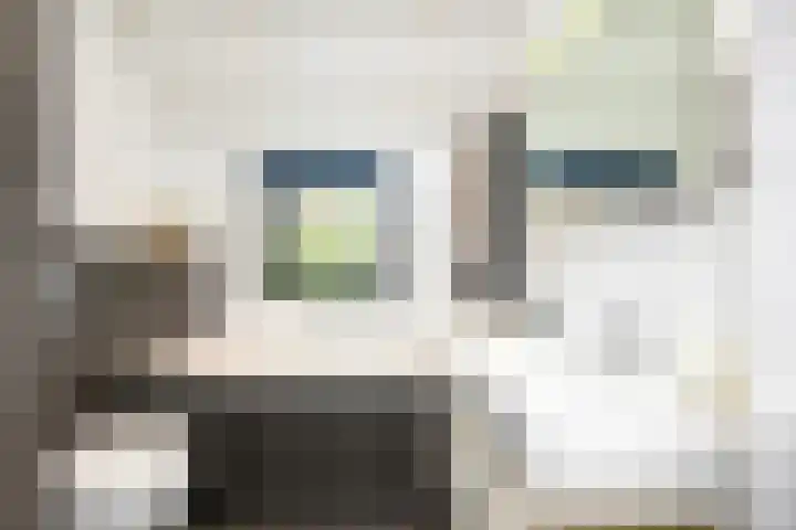 Wuijvert 3 Naarden thumbnail 20