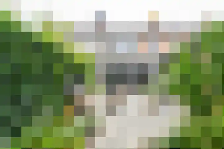 Wuijvert 3 Naarden thumbnail 24