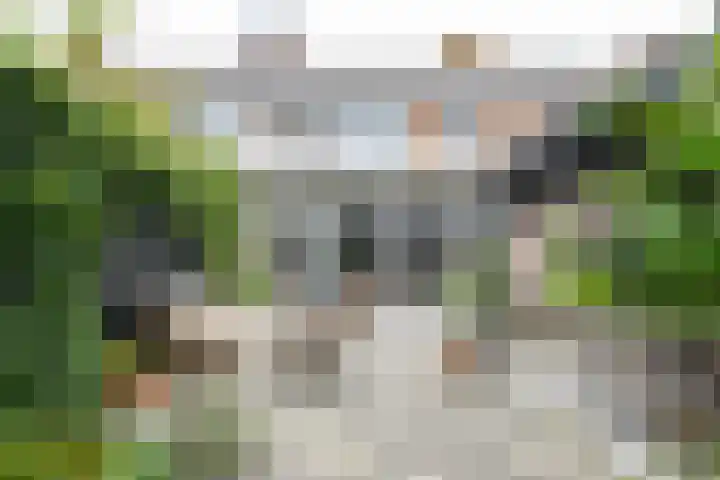Wuijvert 3 Naarden thumbnail 26