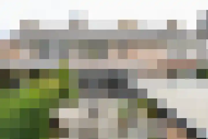 Wuijvert 3 Naarden thumbnail 30