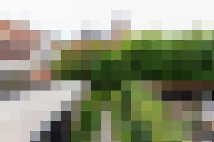 Wuijvert 3 Naarden thumbnail 31