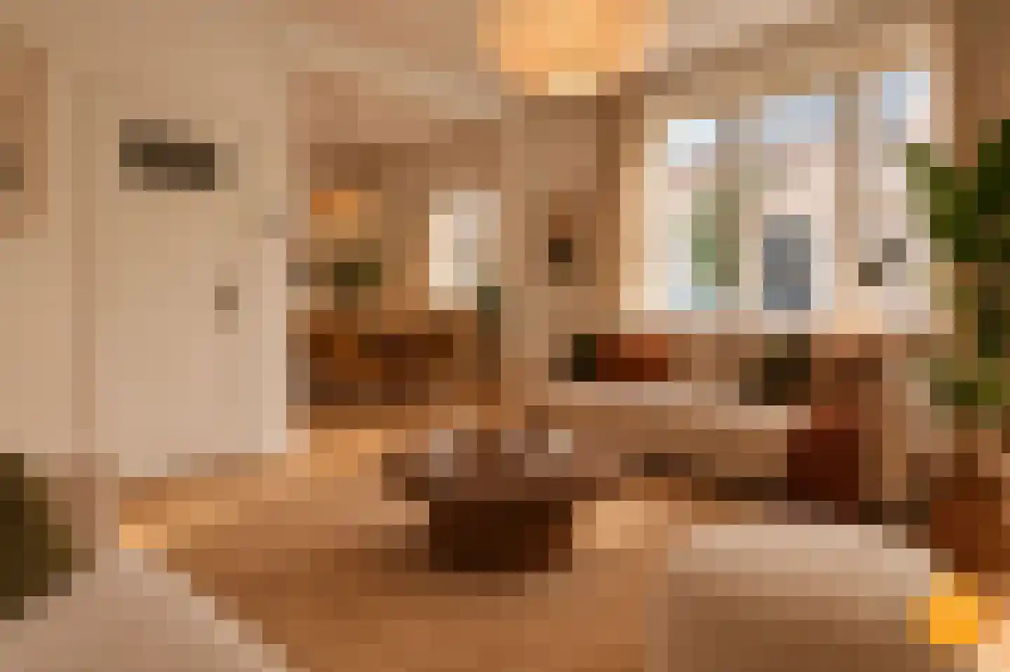 Wuijvert 6 Naarden thumbnail 6