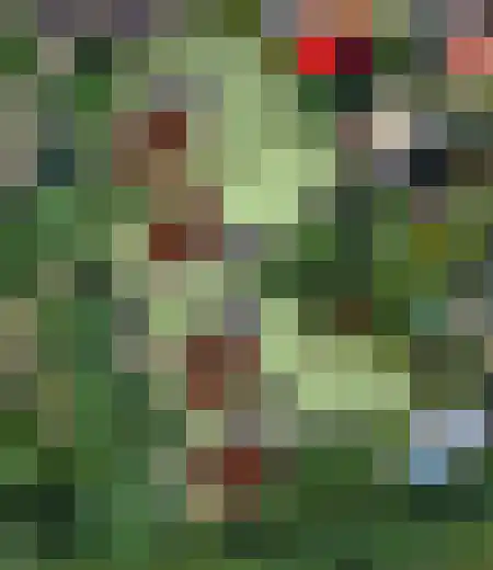 Wuitekampweg Lunteren thumbnail 4