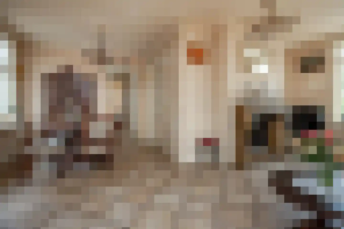 Wuiver 15 Spanbroek thumbnail 11