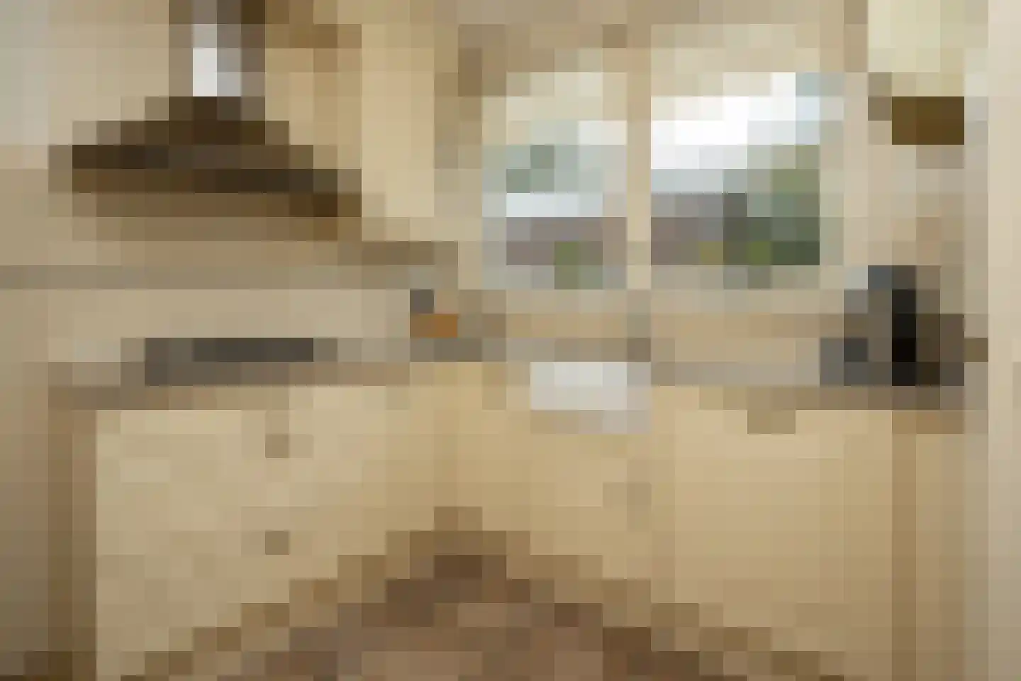 Wuiver 15 Spanbroek thumbnail 12