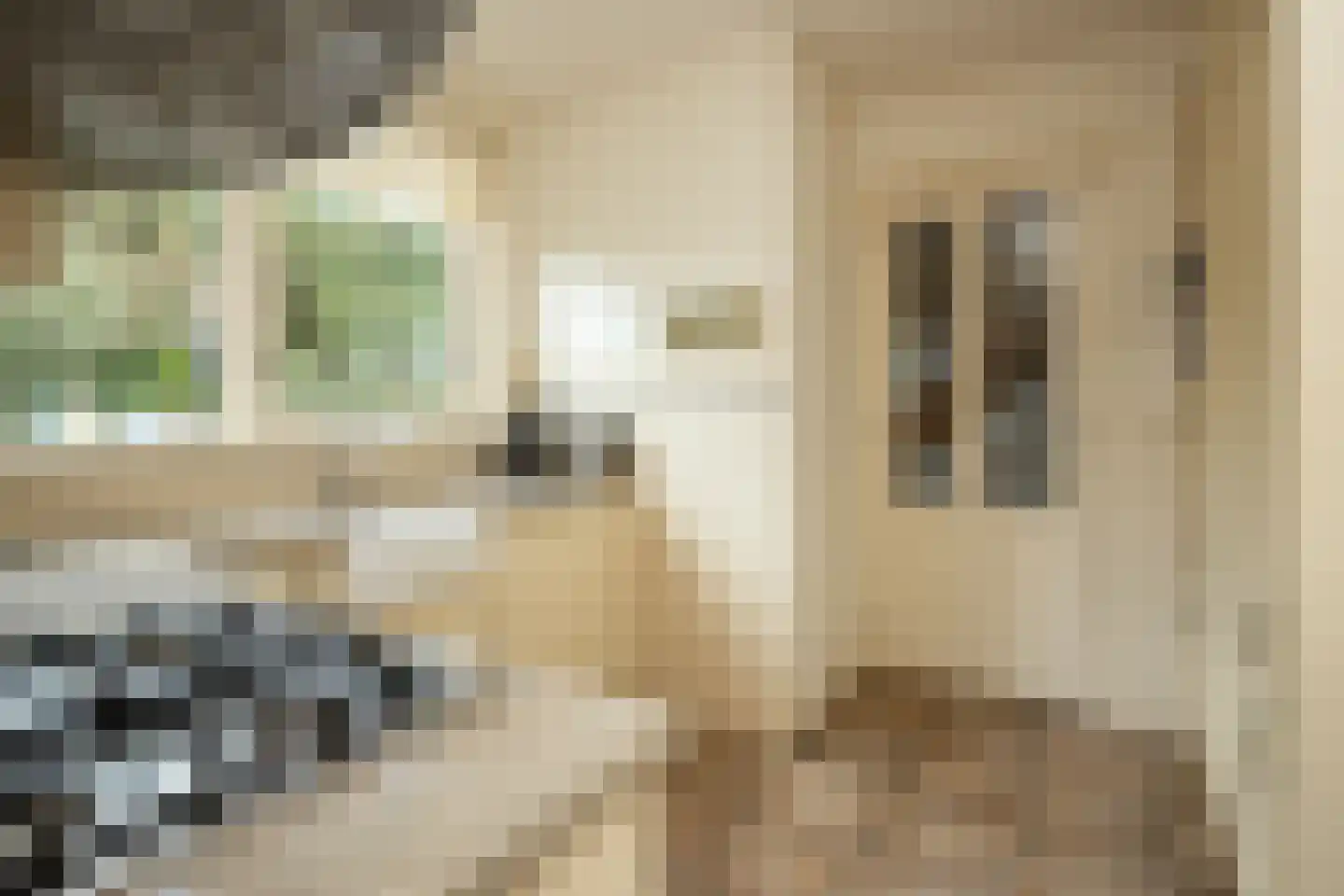 Wuiver 15 Spanbroek thumbnail 13