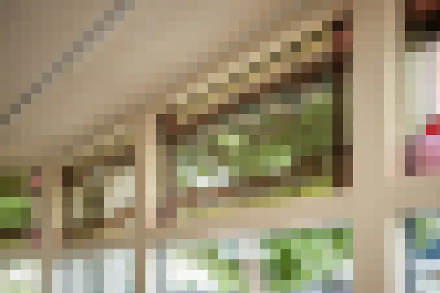 Wuiver 15 Spanbroek thumbnail 16
