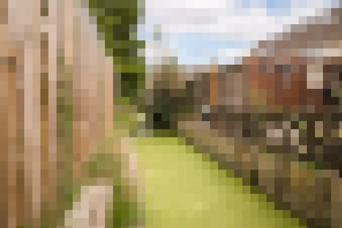 Wuiver 15 Spanbroek thumbnail 36