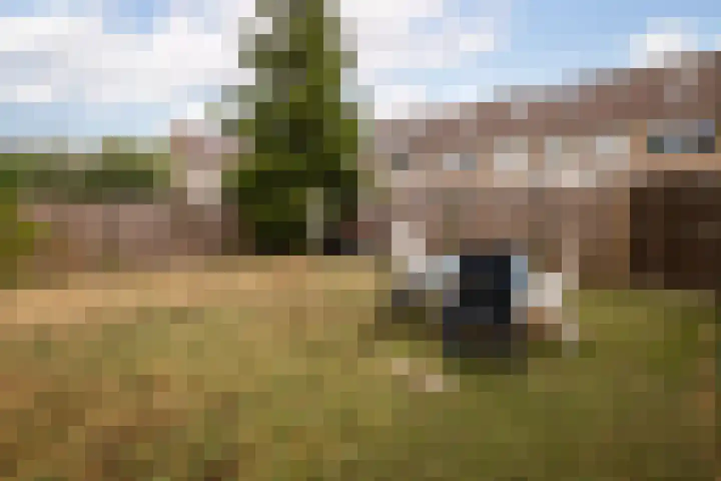 Wuiver 15 Spanbroek thumbnail 4