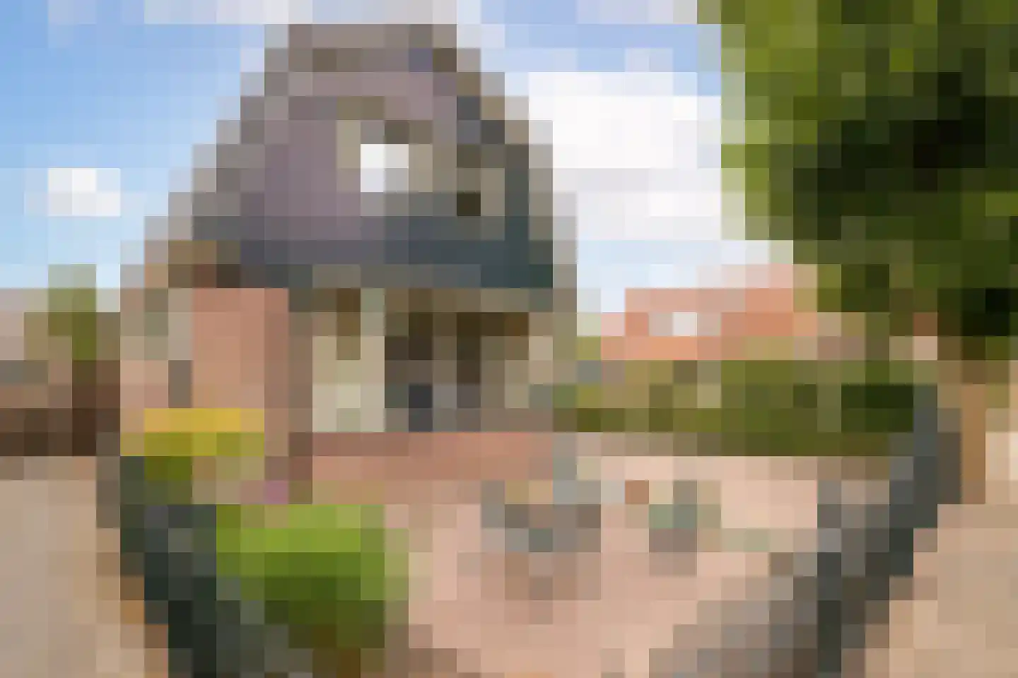 Wuiver 15 Spanbroek thumbnail 41