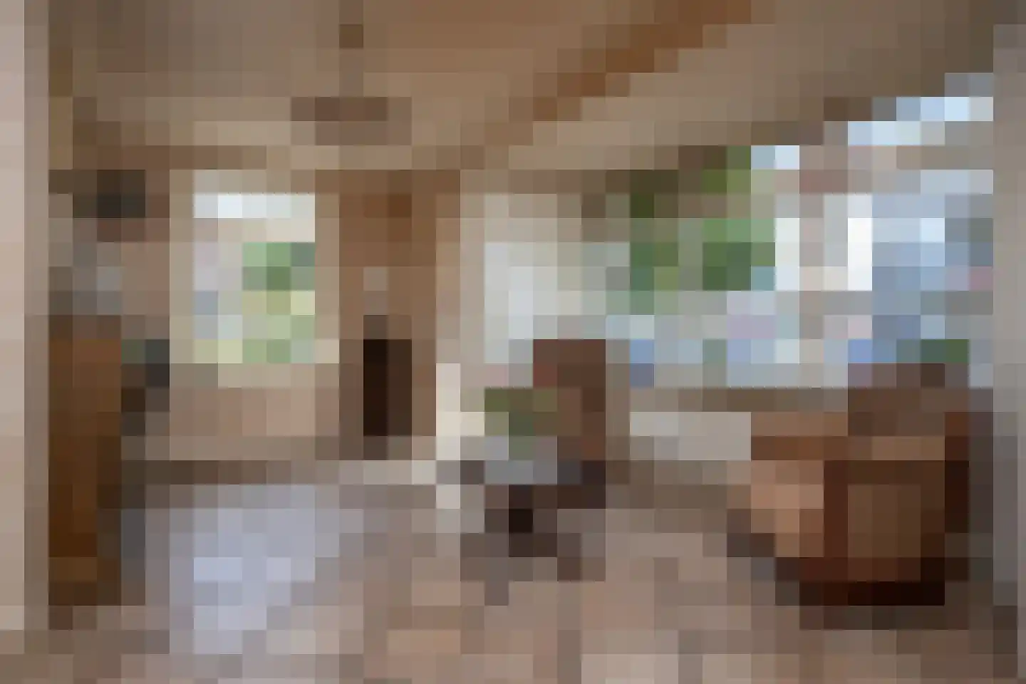 Wuiver 15 Spanbroek thumbnail 9