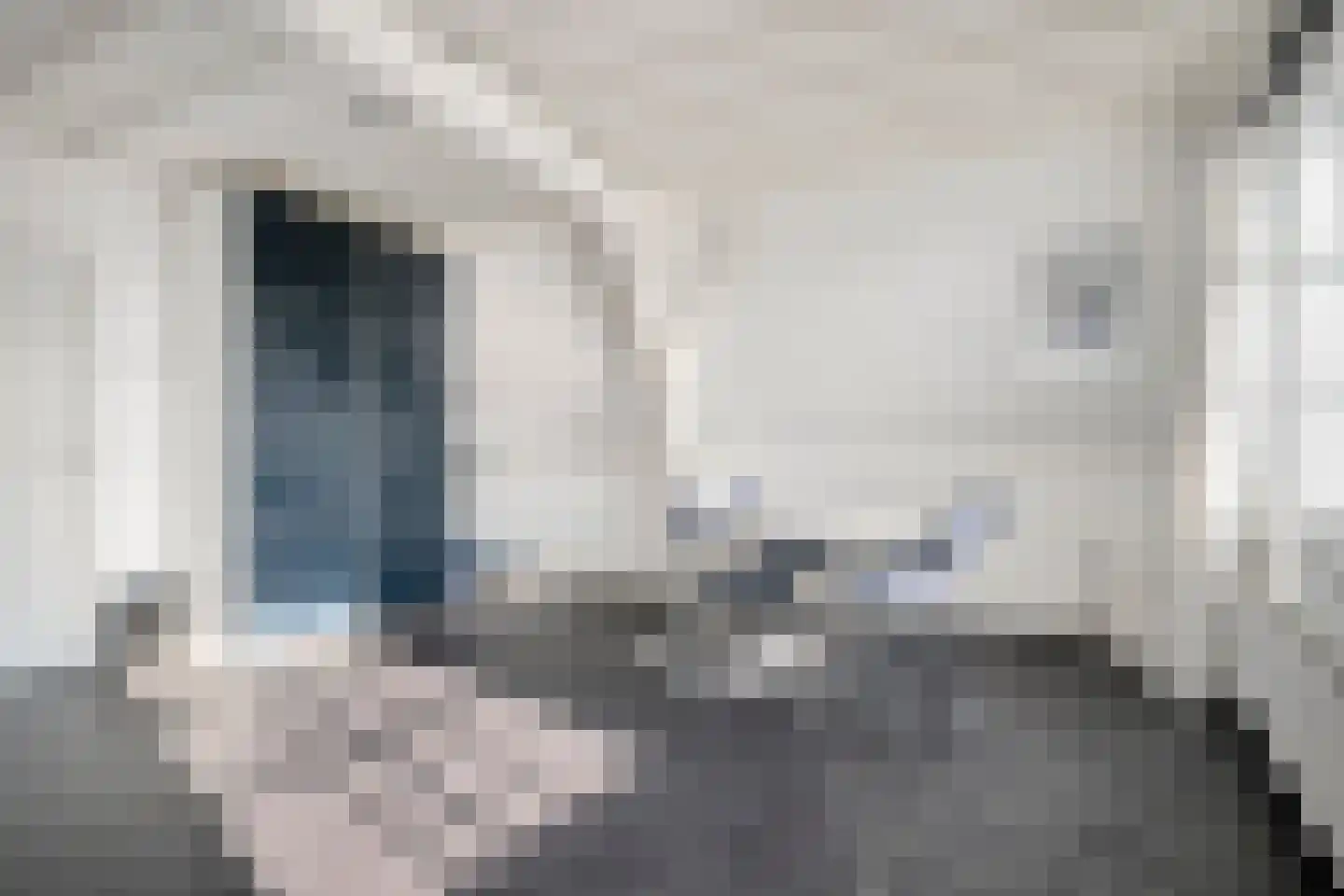 Wuiver 36 Spanbroek thumbnail 11
