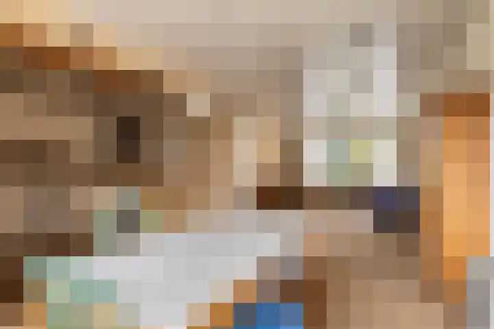 Wuiver 36 Spanbroek thumbnail 11