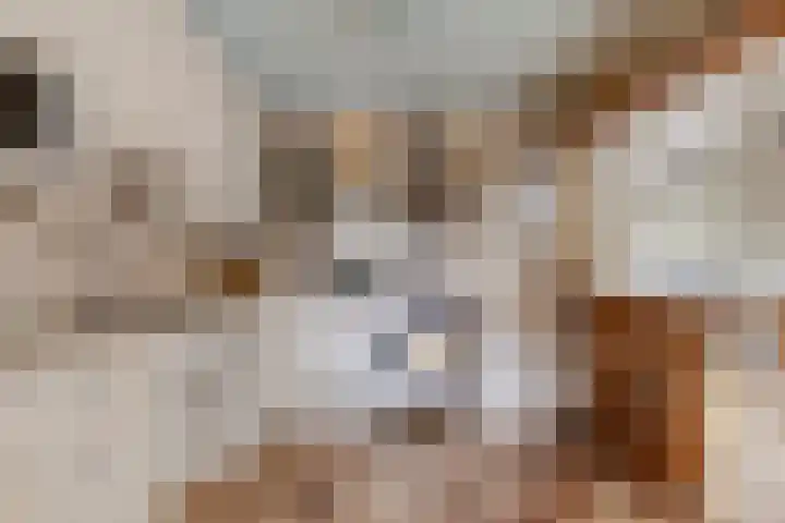 Wuiver 36 Spanbroek thumbnail 13