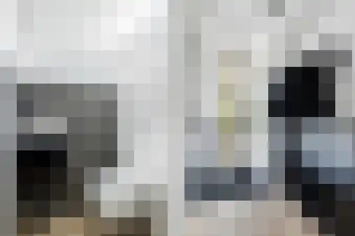 Wuiver 36 Spanbroek thumbnail 19