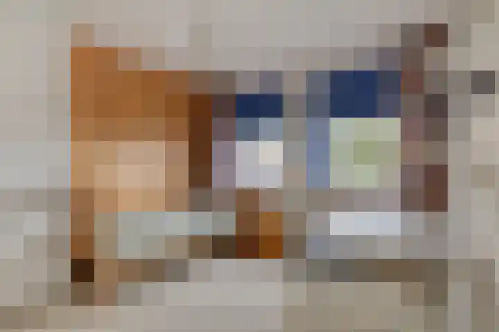 Wuiver 36 Spanbroek thumbnail 20
