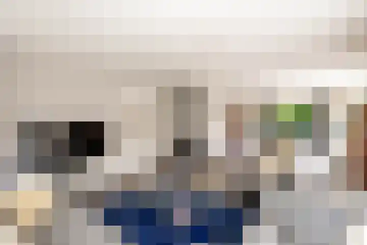 Wuiver 36 Spanbroek thumbnail 22