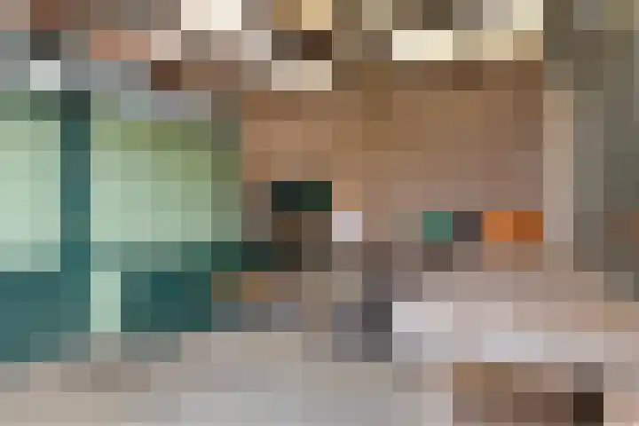 Wuiver 36 Spanbroek thumbnail 24